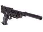 Weihrauch HW44, FAC Version - Image 2