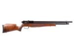 Benjamin Marauder Semi-Automatic - Image 4