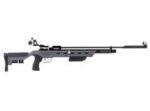 Crosman Challenger PCP, Open Sights