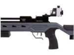 Crosman Challenger PCP, Open Sights - Image 4