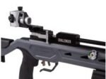 Crosman Challenger PCP, Open Sights - Image 5