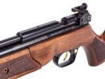 Crosman 100 Year Anniversary Edition Pump Rifle - Image 8