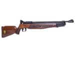 Crosman 100 Year Anniversary Edition Pump Rifle